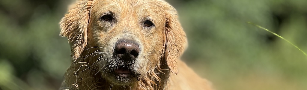 Tarieven vakantiewoning Achouffe